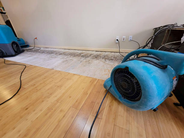 Professional Ceiling Water Damage Repair technician working in Shelbyville, MI